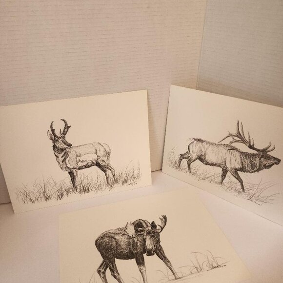 Vint.WESTERN WILDLIFE PORTFOLIO 12 WESTERN WILDLIFE PRINTS B JAMES JOKERST 1983 - Picture 7 of 8